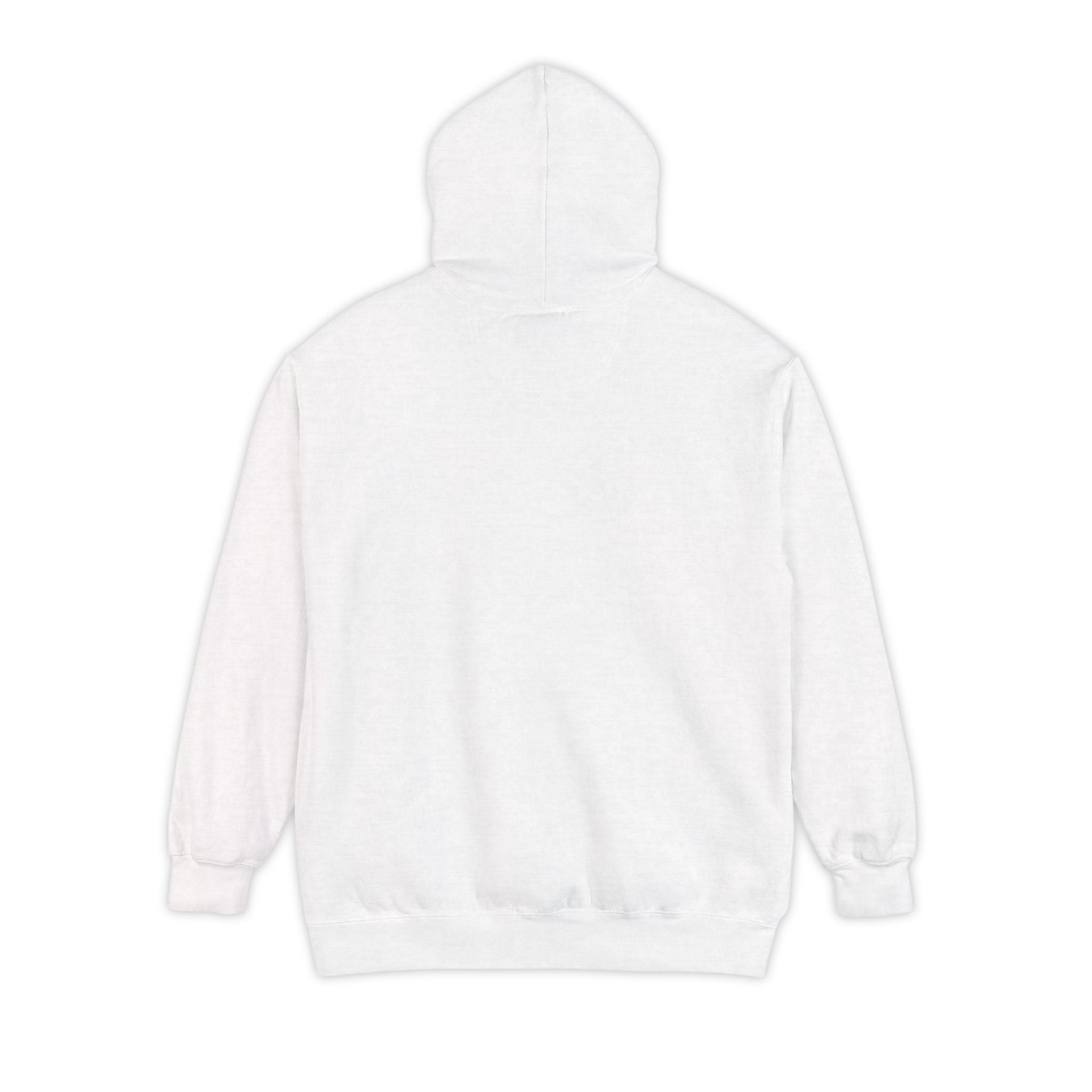 Latte Comfort Hoodie - MISSIONS COLLECTION
